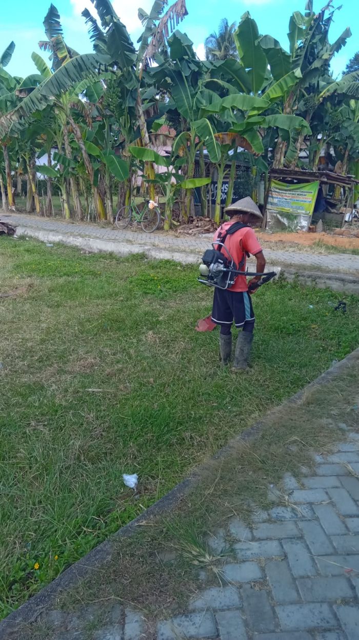 Pemotongan Rumput Lapangan Di Desa Sidoharjo Kecamatan Sruweng 01